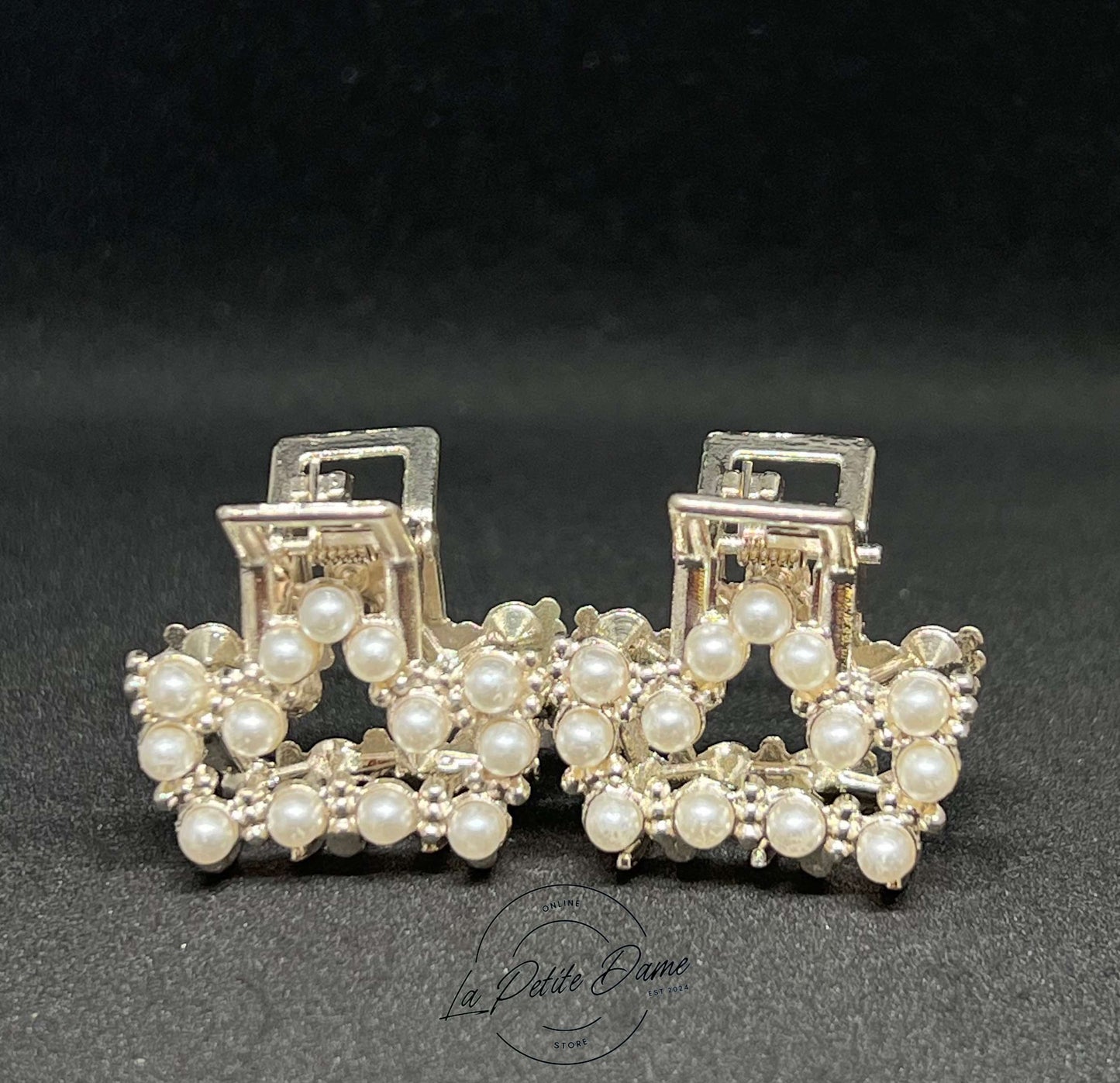 Fashionable Alloy Gold/ Silver Hair Clutcher