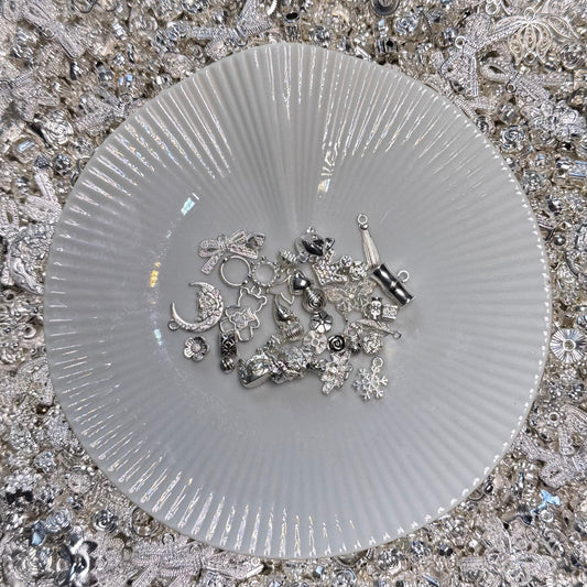 Accessoires (SILVER)